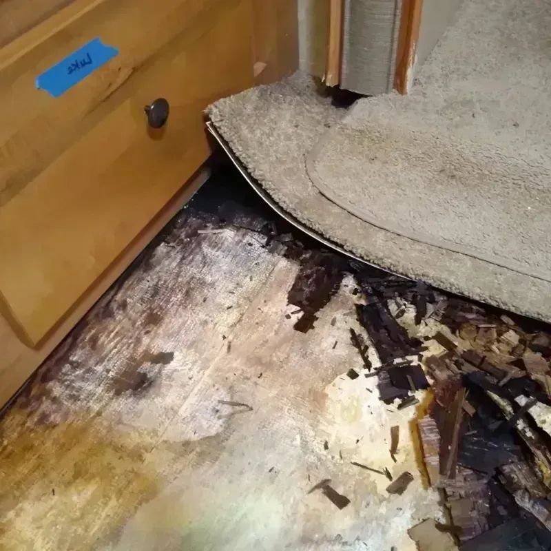 Best Wood Floor Water Damage Service in Washburn County, WI